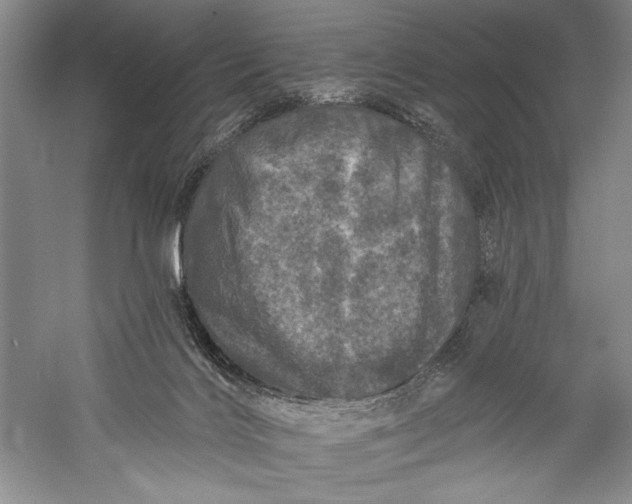 X0000055970028200509091456