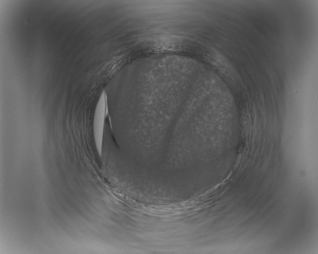 X0000055970029200509091456