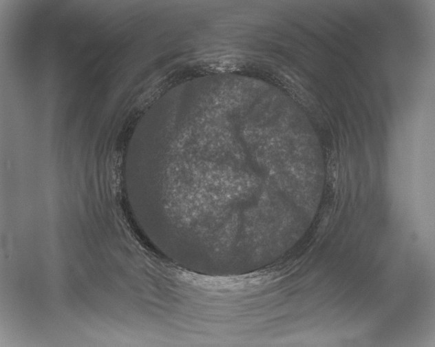 X0000055970030200509091456