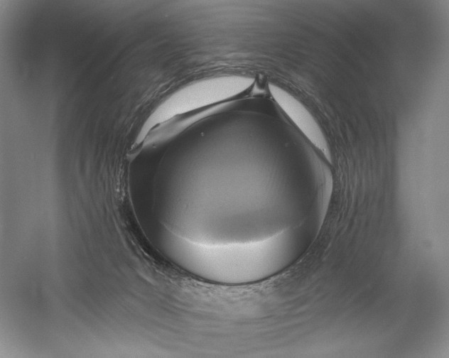 X0000055970031200509091456