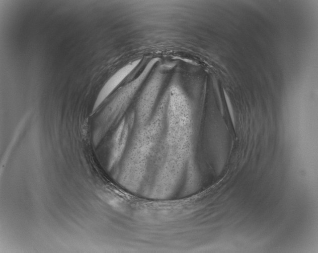 X0000055970033200509091456