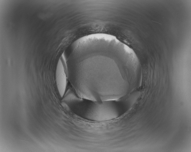 X0000055970035200509091456