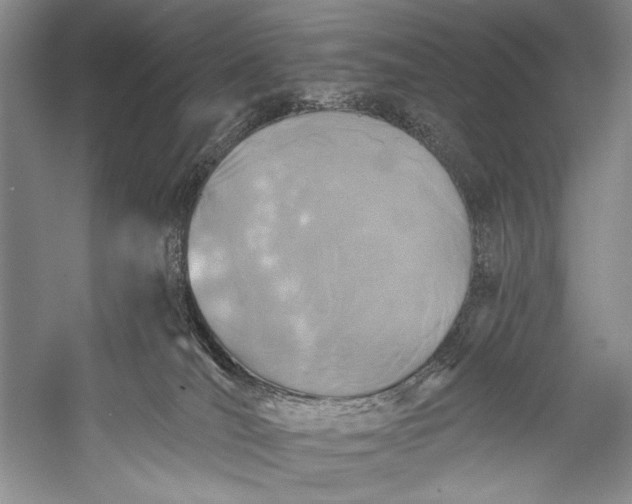 X0000055970036200509091456