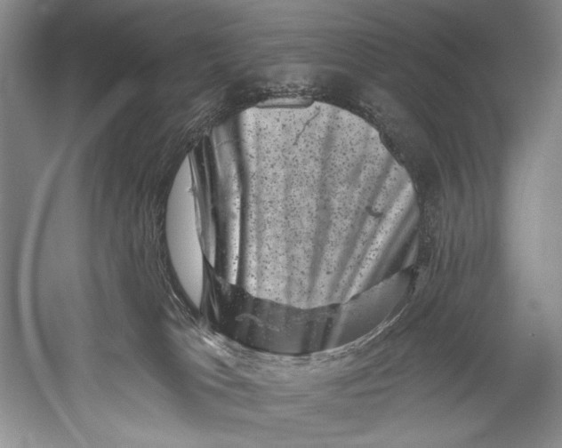 X0000055970037200509091455