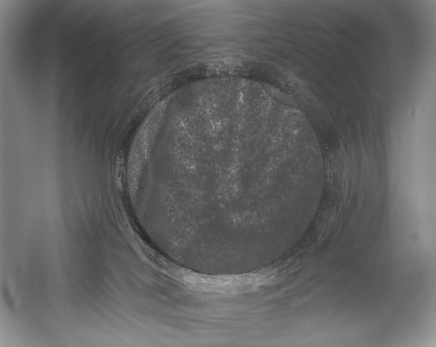 X0000055970038200509091455