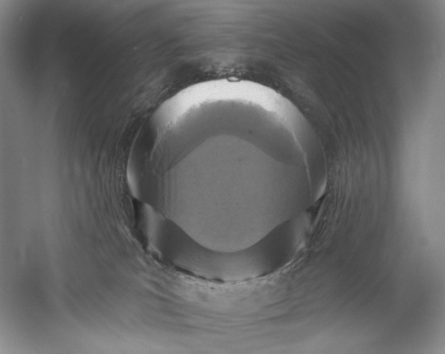 X0000055970039200509091455