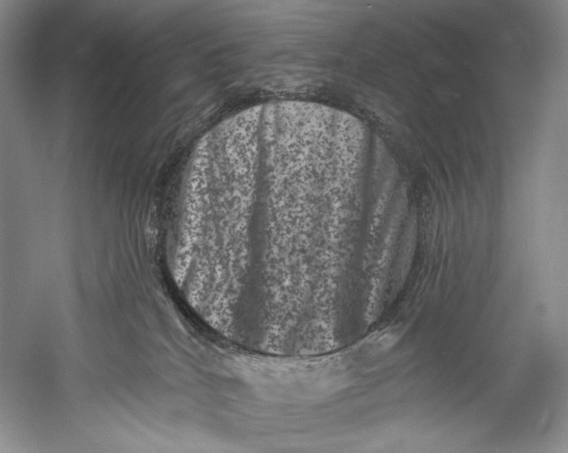 X0000055970040200509091455
