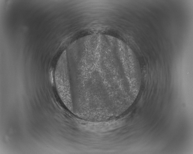 X0000055970042200509091455