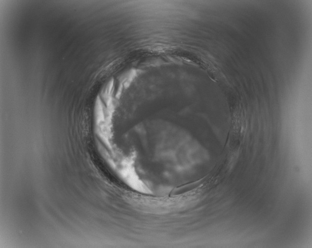 X0000055970043200509091455