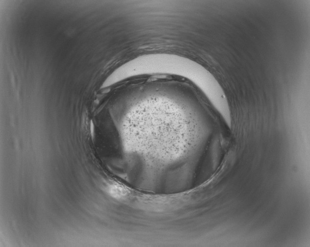 X0000055970045200509091455
