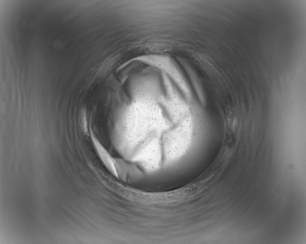 X0000055970046200509091455