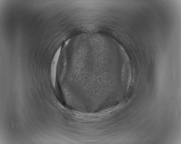 X0000055970048200509091455