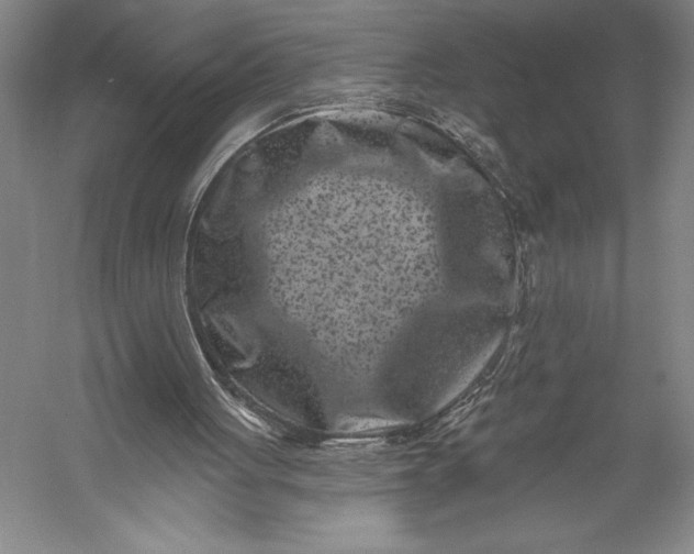 X0000055970051200509091455