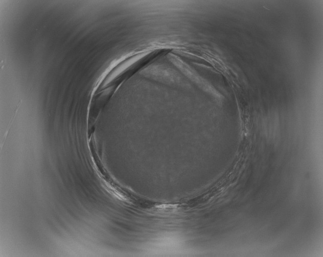 X0000055970052200509091455
