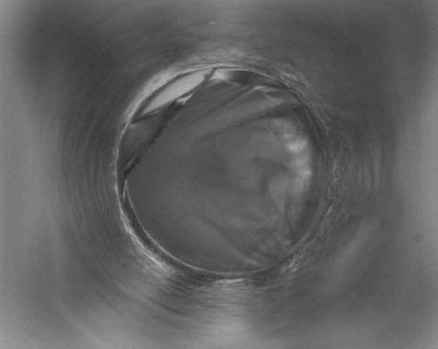 X0000055970054200509091455