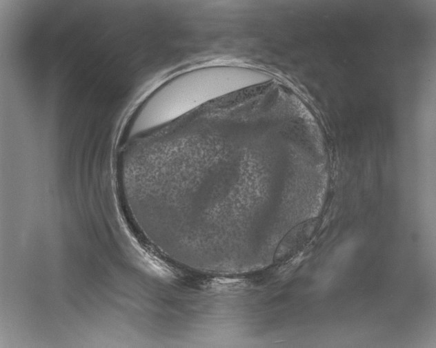 X0000055970055200509091455