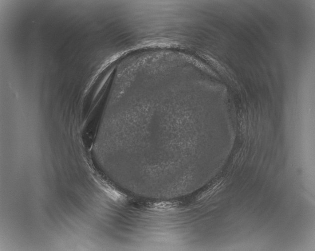 X0000055970064200509091455