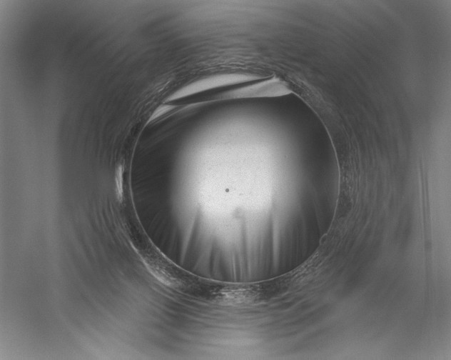 X0000055970070200509091455