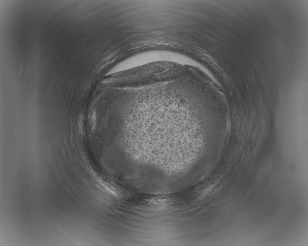X0000055970071200509091455
