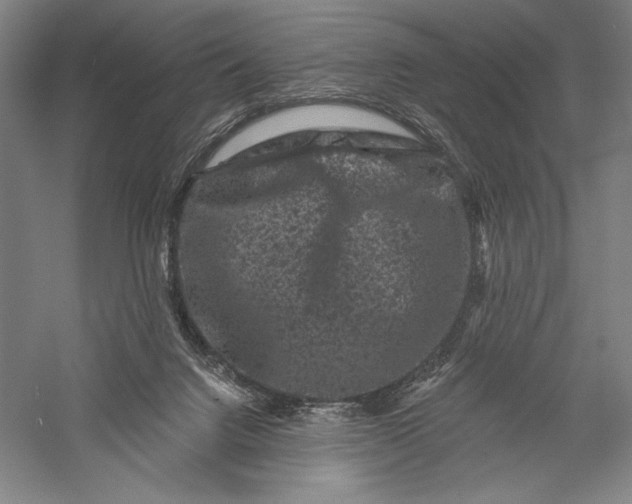 X0000055970072200509091455