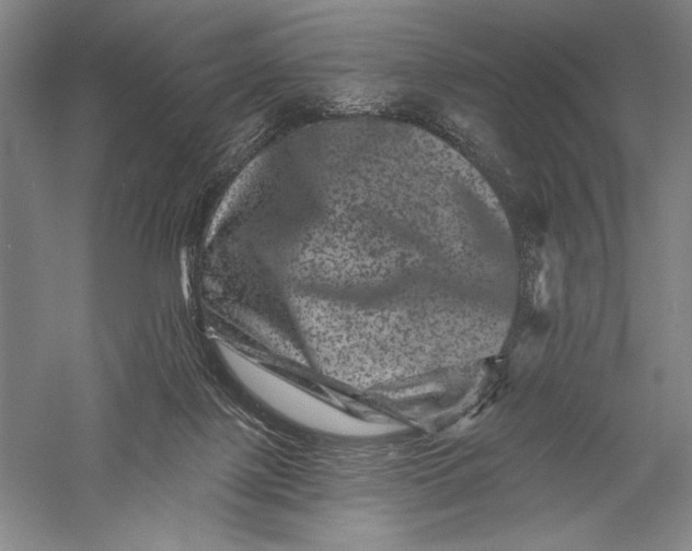 X0000055970075200509091455
