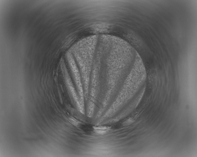 X0000055970079200509091455