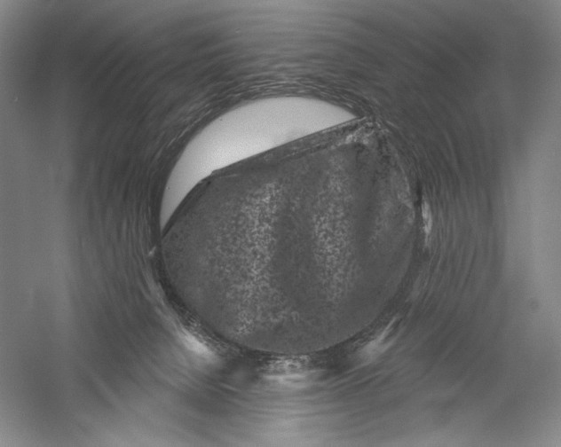 X0000055970080200509091455