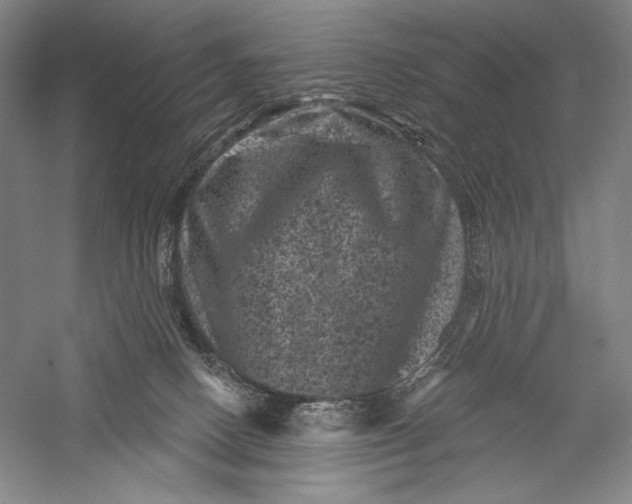 X0000055970082200509091455
