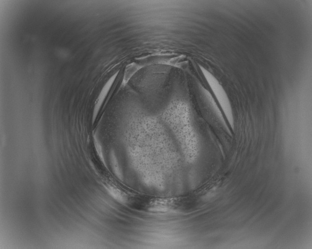X0000055970084200509091455