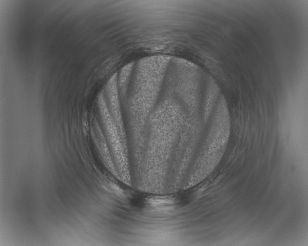 X0000055970085200509091455