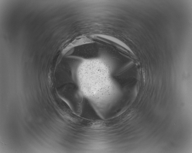 X0000055970088200509091455