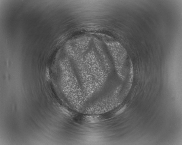 X0000055970089200509091455