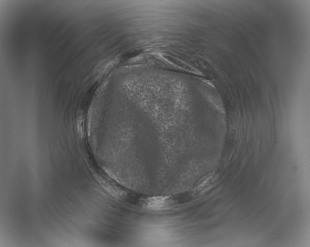X0000055970090200509091455