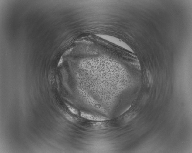 X0000055970091200509091455