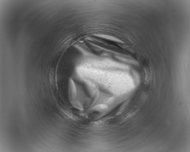 X0000055970092200509091455