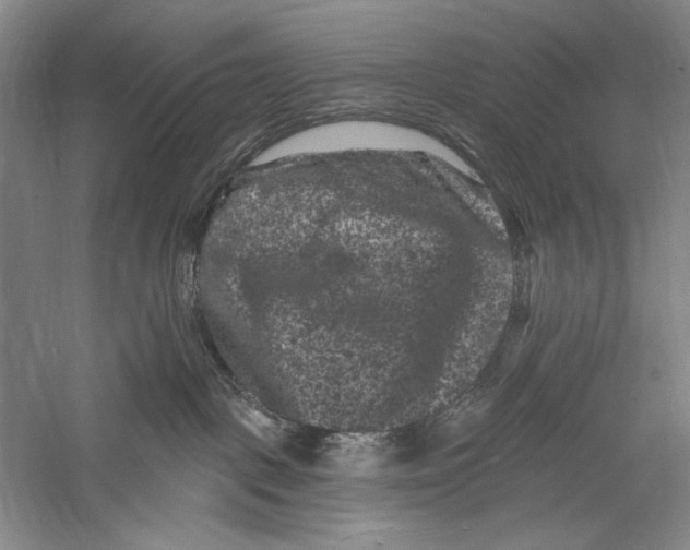 X0000055970093200509091455