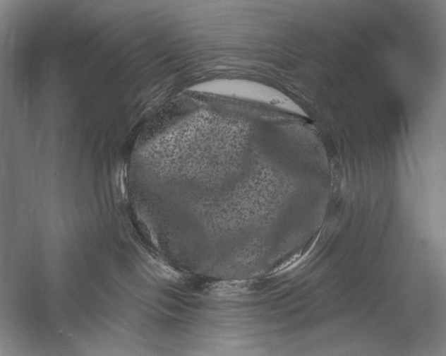 X0000055970094200509091455
