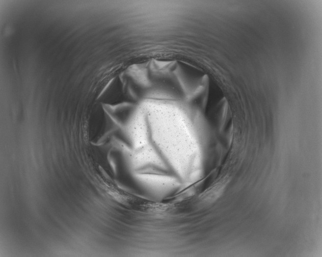 X0000055970096200509091455