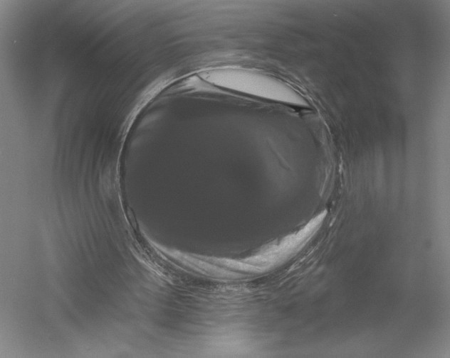 X0000055970099200509091454
