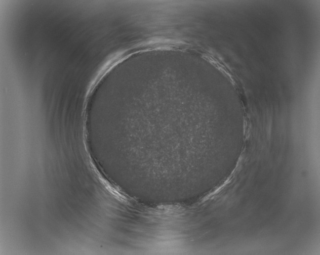 X0000055970101200509091454
