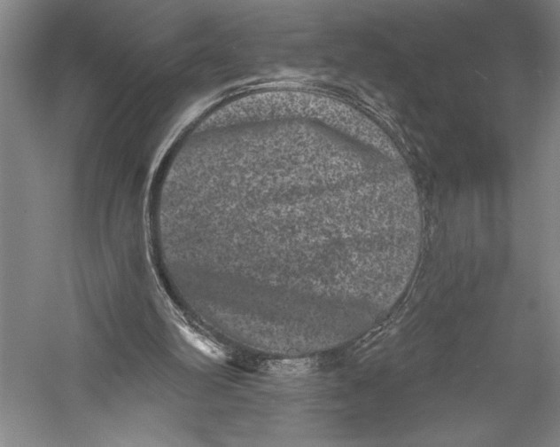 X0000055970102200509091454