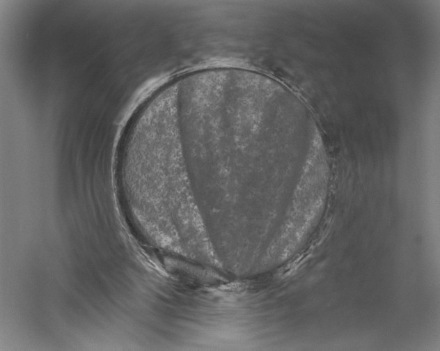 X0000055970104200509091454