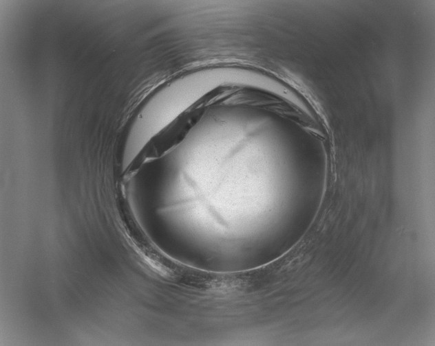 X0000055970105200509091454
