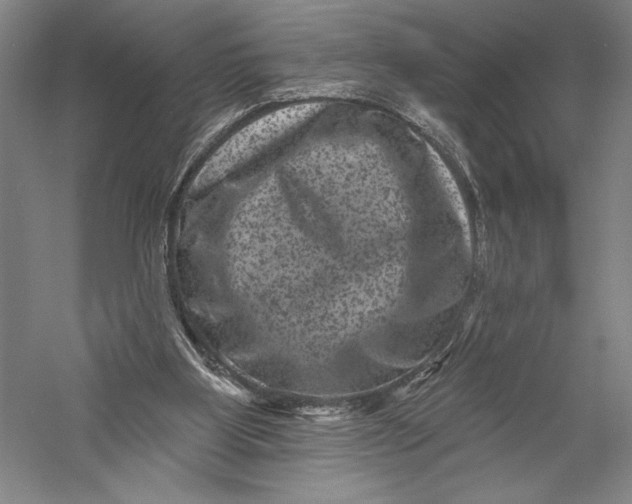 X0000055970107200509091454