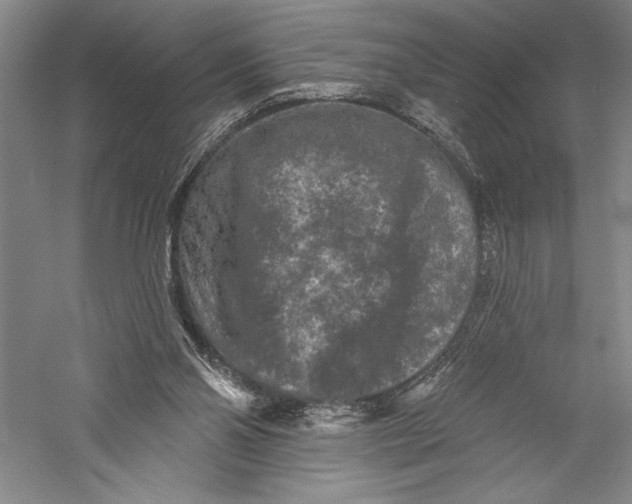 X0000055970110200509091454