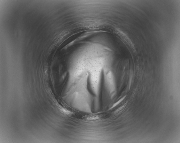 X0000055970113200509091454