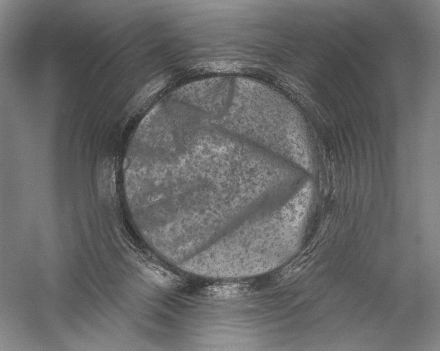 X0000055970120200509091454