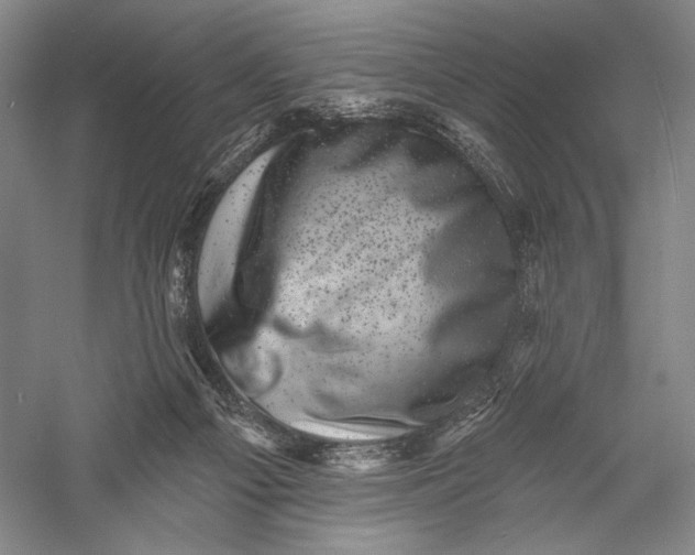 X0000055970121200509091454