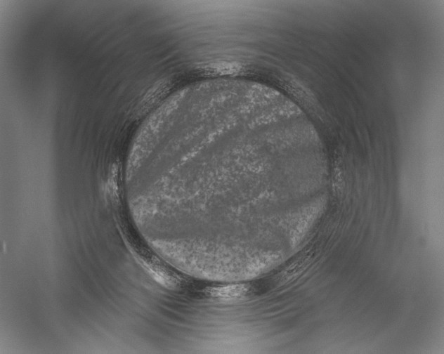 X0000055970122200509091454