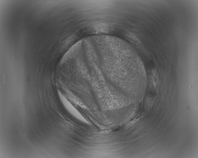 X0000055970123200509091454